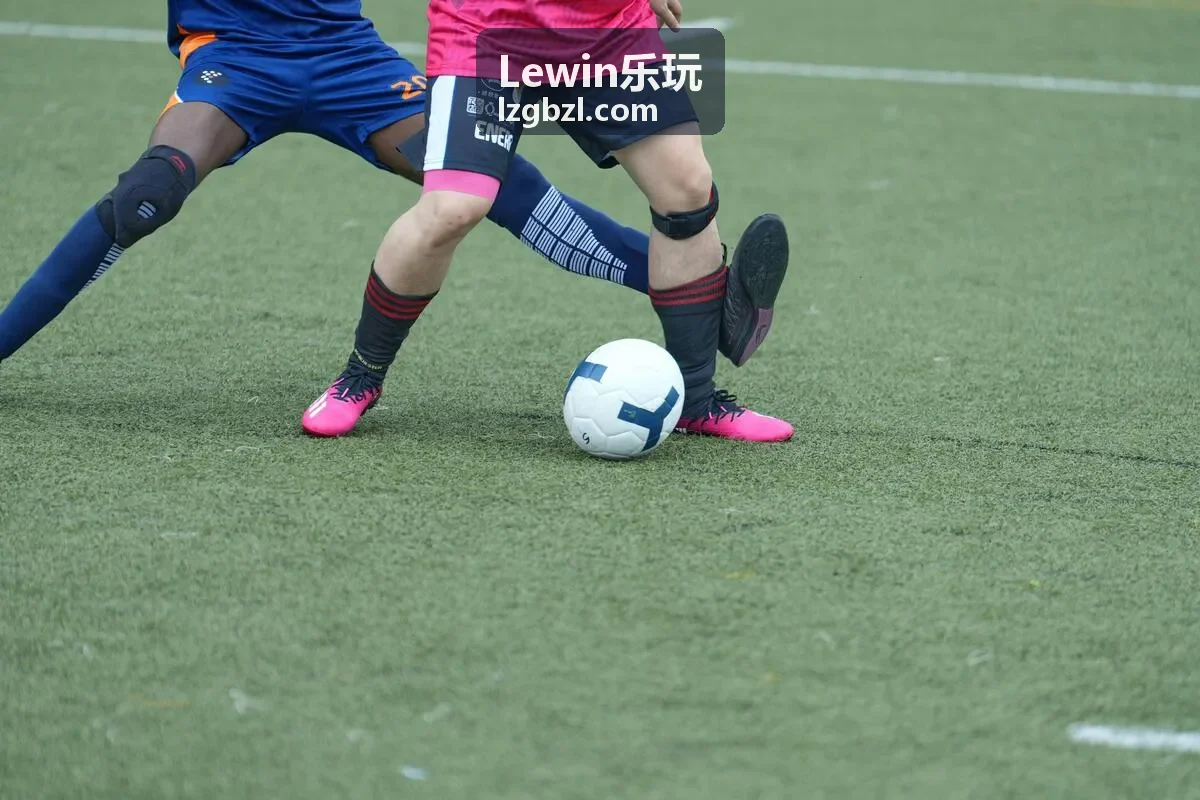 Lewin乐玩金融科技案例